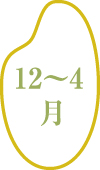 12～4月