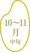 10～11月中旬